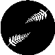 NewZealand