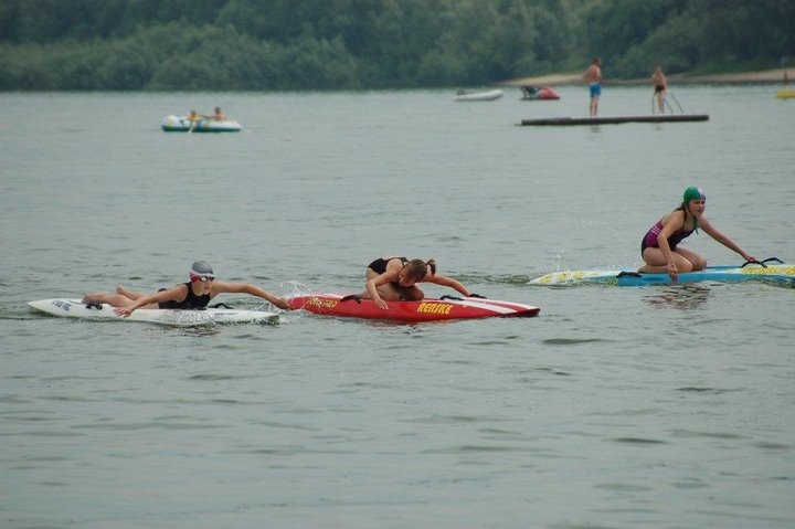 Board puppies