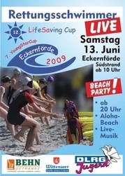 LiSa Poster 2009